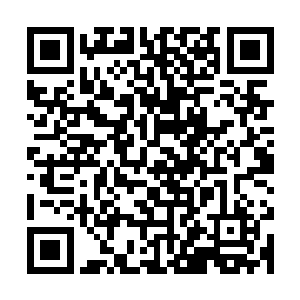 剩下的这些人又如何可以抵挡数百名如狼似虎一般的青帮弟子呢二维码生成