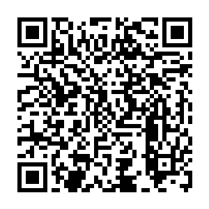 剩下的那小猫两三只也是立即老实多了……用一种非常敬畏的眼神看着秦方等人二维码生成