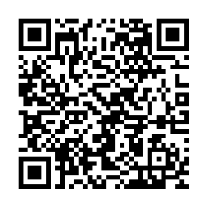 剩余百分之八十会在收到款项后全部交给您做后续的项目研发二维码生成