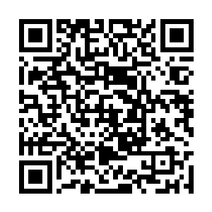 副主教掩藏在宽大外袍下的手因为激动而微微颤抖二维码生成