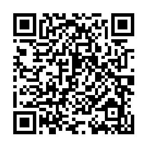 副总统先生过来是想邀请你和你的同伴们晚上一起共用晚餐二维码生成