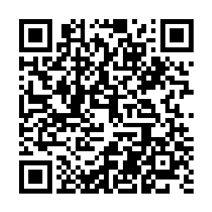 割据北部领地的赵辉家族已经伴随着城堡的陷落而成为历史二维码生成