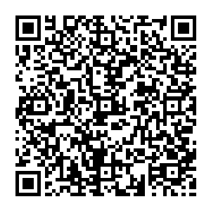 力将其定住半年　他们早就身陨了　如今我们的弟子纷纷死亡　而你就这么一走了之　未免有些卸磨杀驴啊　二维码生成