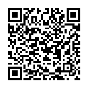 办公室里的其他几件家具和柜子似乎用的是更珍贵的金钱柚二维码生成