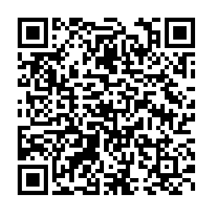 加上上次刘飞现场面对电视台的记者亲自动手给罗绮香治好了脸上的伤二维码生成