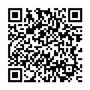 加上之前的时候星痕的行为也是让他们的心中憋了一肚子的火二维码生成