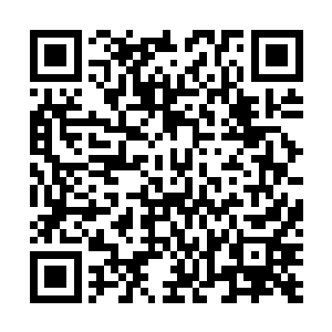 加上修行岁月外加家族从他一出生就灌注的诸多灵天秘宝二维码生成