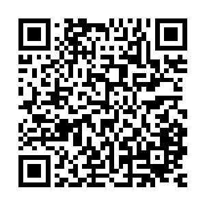 加上冷清冷性的她竟然会主动再三询问代离关于这把扇子的问题二维码生成