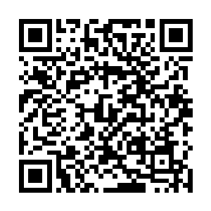 加上刚才被一位神尊境强者误打误撞打捞上的血月倒影二维码生成