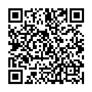 加上南部三大仙盟的盟主选出几位信得过的堂主首座二维码生成