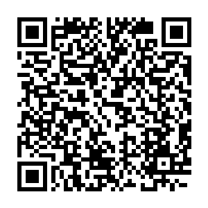 加上地面炮兵的武器也不像舰用火炮一样能对抗船只在海上横摇和纵摇二维码生成