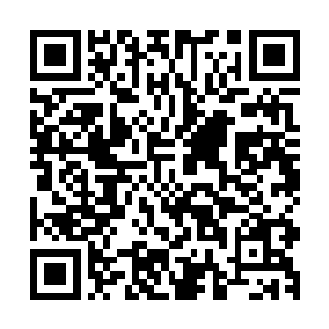 加上现在成效还没有看出来但是非常有前途的种植业和养殖业二维码生成