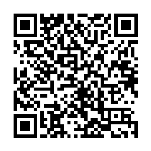 加上秦方这一下又几乎是灌注了一股非常庞大的真气在里面二维码生成