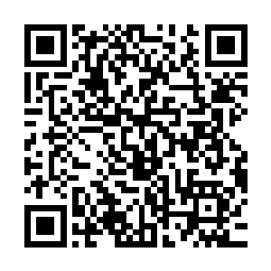 加强记忆力和降低血糖进而达到减肥效果这几个方面有一定疗效二维码生成