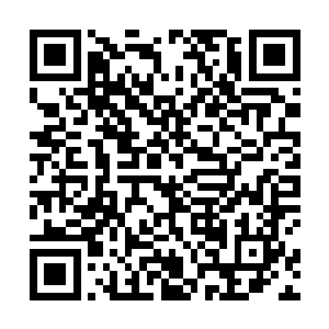 动不动就训斥别人……杨晨这回可算是替我出了大气了二维码生成