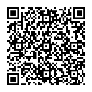 动手吧 今日分出一个胜负 明日我必然跨域而去 前往茅山灭了你满门 狗东西 二维码生成