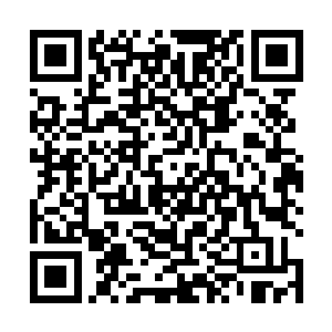 动物在意外受伤时无意中也会发现对自己伤有效的草药二维码生成