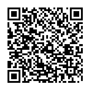劳伦把绳子挂上了一个定滑轮然后示意守在卷绳机旁边的小迈克开始卷绳二维码生成