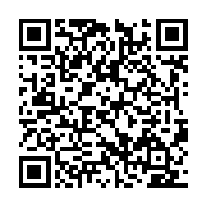 势是一张对某种功法领悟到了一定程度才会具有的二维码生成