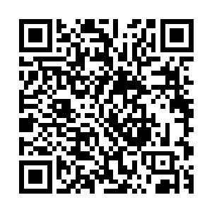 勤快的梓箐现在传递文件复印搬运东西什么的都不乘坐电梯了二维码生成