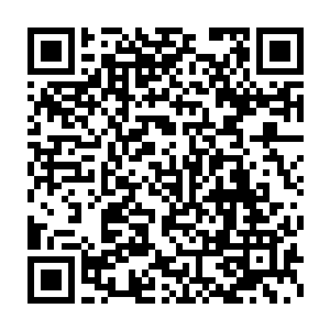 包厢内　陈玉林一人坐在梨花木的椅子上　脸上带着微微期待之色二维码生成