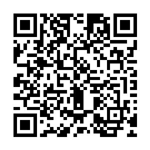 包括从来没在海岛上生活过的叶卡琳娜都得倚仗男伴协助生存二维码生成