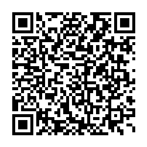 包括储存该病毒的美国国家疾病与控制研究中心的部分样本被全部销毁二维码生成