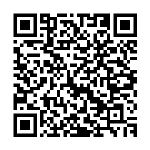包括冰在内的二十八名战士也觉得走在树林里似乎让他们更舒服二维码生成