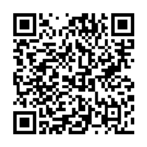 包括因为老师邹翁的缘故稍微对邓铮多了几分信任的竺学林二维码生成