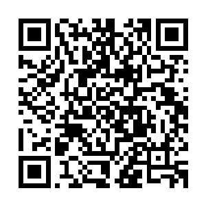 包括她们的长辈全装出不曾感觉到一样继续做着亲上加亲的美梦二维码生成