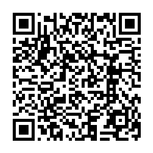 包括宝焰神君和建木神君在内的几个人的神经瞬间都像钢丝一样的绷紧了二维码生成