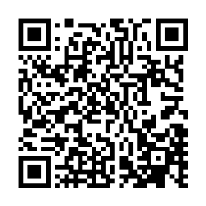 包括放逐之地都是计划衍生……不过现在功亏一篑提前开启二维码生成