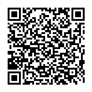 包括白熊国在内的一批热爱和平的国家也都第一时间提交了他们的抗议书二维码生成