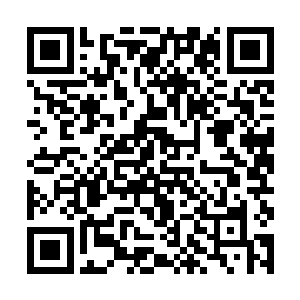 包括站在身前挡住攻击的动作――曾经她也这么做过二维码生成