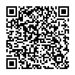 包括鱼人部落的海域在内的十大海域全部划分为咱们灵农宝宗的地盘二维码生成