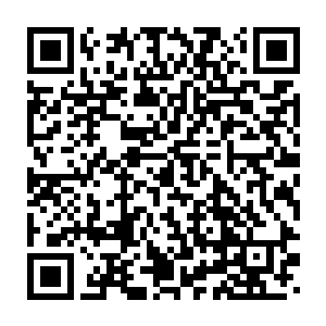 北凉边军比起为了快登城而不得不付出减少重甲负重代价的北莽士卒二维码生成