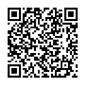 北域的帝尊境和蛮荒古地的妖王们也不好再留在这里了二维码生成