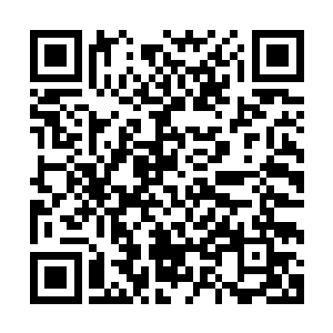 北方的那些三眼会家族此刻正在重新组织大批的魔化傀儡军团二维码生成