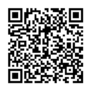 北月帝国的皇帝北月无殇和南耀帝国的陛下柳非笑他们是见过的二维码生成