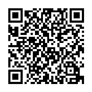 北漠皇族的皇子调戏娘亲有人出手将北漠皇族一夜之间毁灭殆尽二维码生成