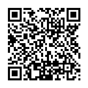 北辰皇也不介意自己手中的小衣服被慕容宰相给抢走了二维码生成