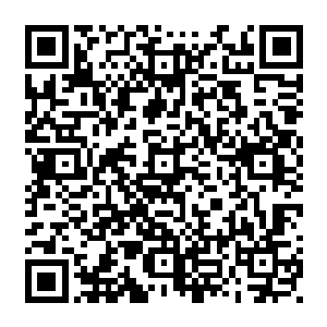 区区一百万确实不够干啥子的……胡家旗下的产业每天员工的酬劳都不止这个数的二维码生成