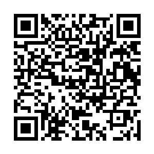 区区几间商铺凭天行宫的实力血洗一遍完全没问题二维码生成