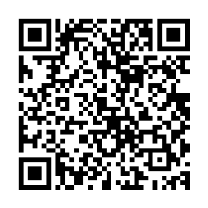 区区青莲一品的修为能活到现在肯定不会像苗毅说的那么简单二维码生成