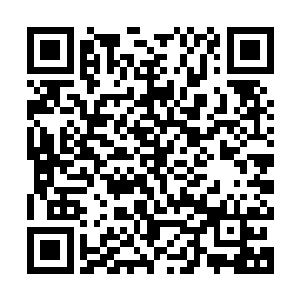 医生也对楚旬的铁血异形和禁卫异形做了个全方位的检查和研究二维码生成