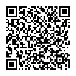 医生以救死扶伤为天职――原本我们的代表团成员是去博物馆旅游观光的二维码生成