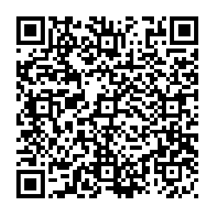 十一个县区和经开区的主要领导以及各县区选出的各行各业代表以及市属部门机关二维码生成