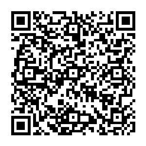 十三个洪荒种族都认识到战争的残酷和统一的必要性彼此的文明都先进到这种程度二维码生成