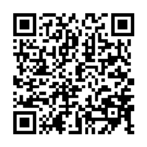 十三种极为稀有的灵草对庞家而言并不是什么大问题二维码生成