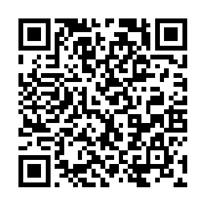 十二名队长和数百名龙组成员已经将周明和张宇杰淹没二维码生成